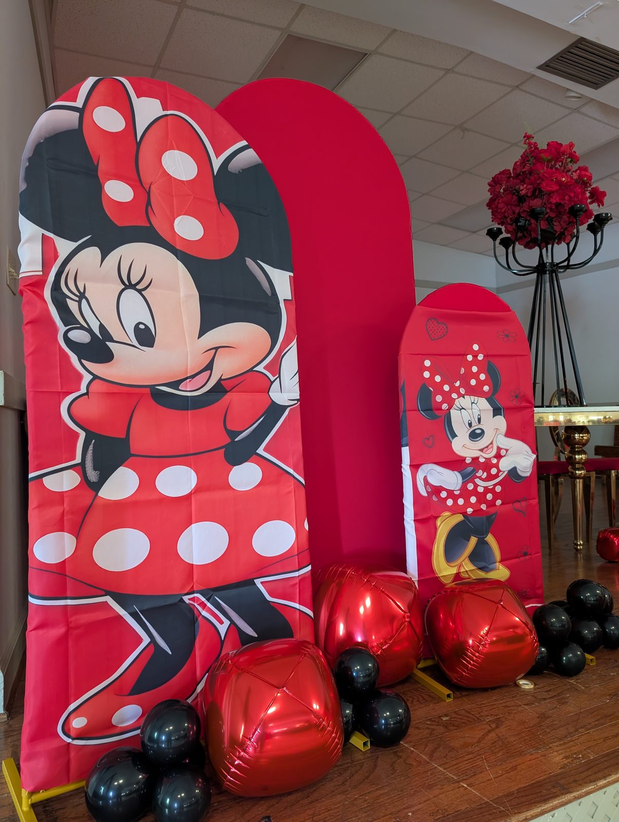 Minnie Mouse Party — 4