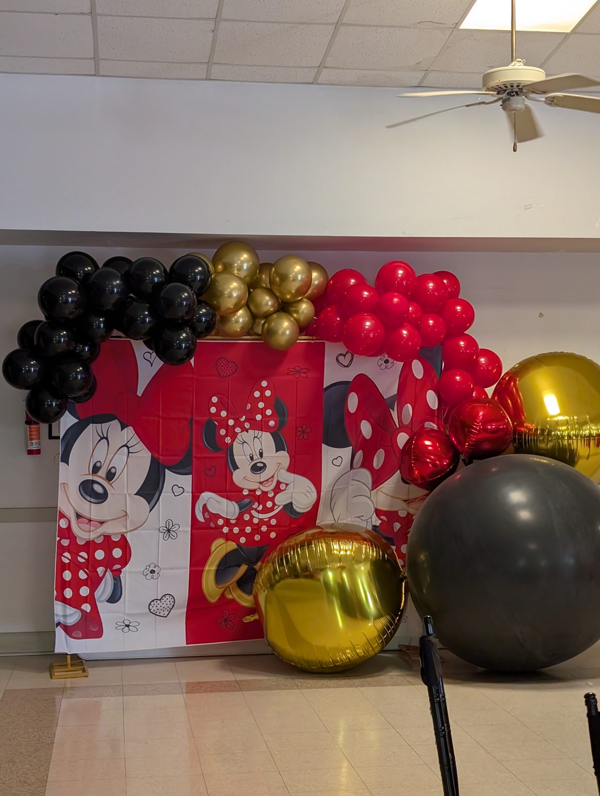 Minnie Mouse Party — 5