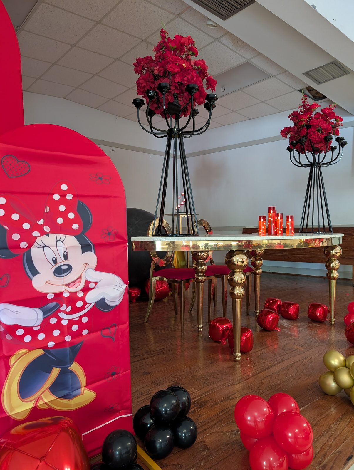 Minnie Mouse Party — 6